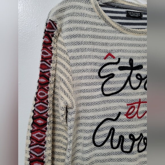 Zara Man Rare Blue Ivory Striped Long Sleeve Cotton Terry Graphic Tee Size Small - Picture 6 of 13